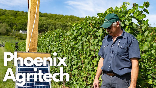 Phoenix Agrictech Vineyard - Pest and Predator Deterrent Equipment